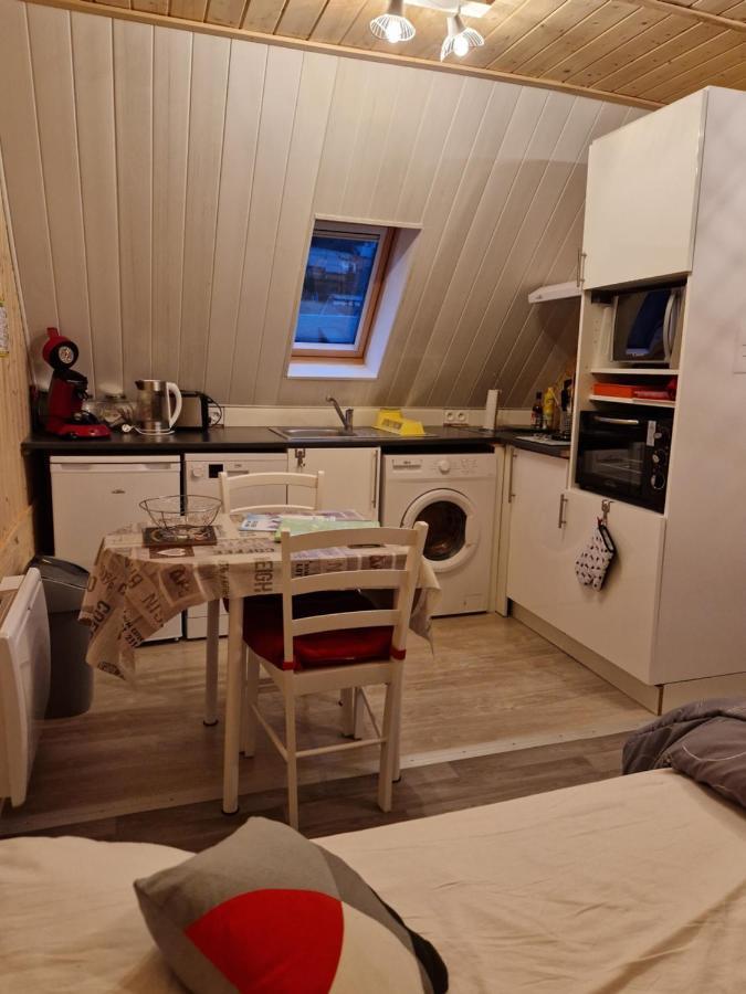 La Maison Des Fleurs Studio Le Mont-Dore Eksteriør bilde